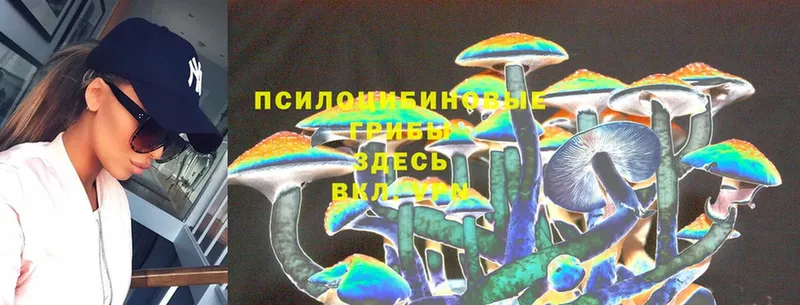 гидра рабочий сайт  Скопин  Галлюциногенные грибы Magic Shrooms 